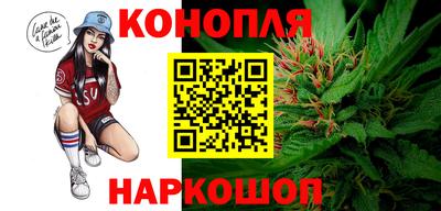 сатива Волжский